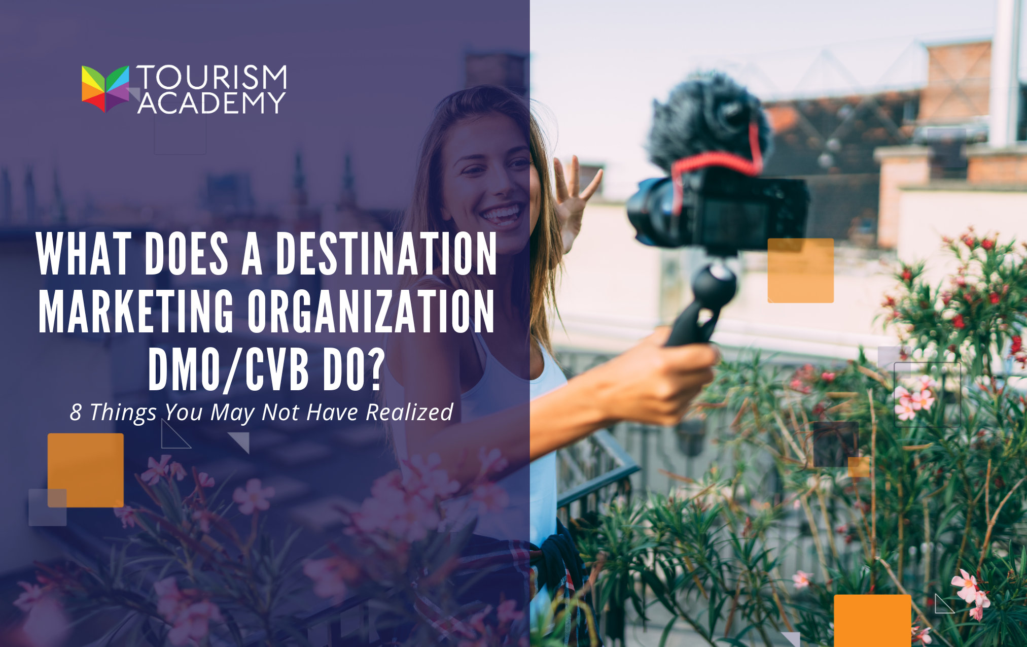 dmo travel industry definition