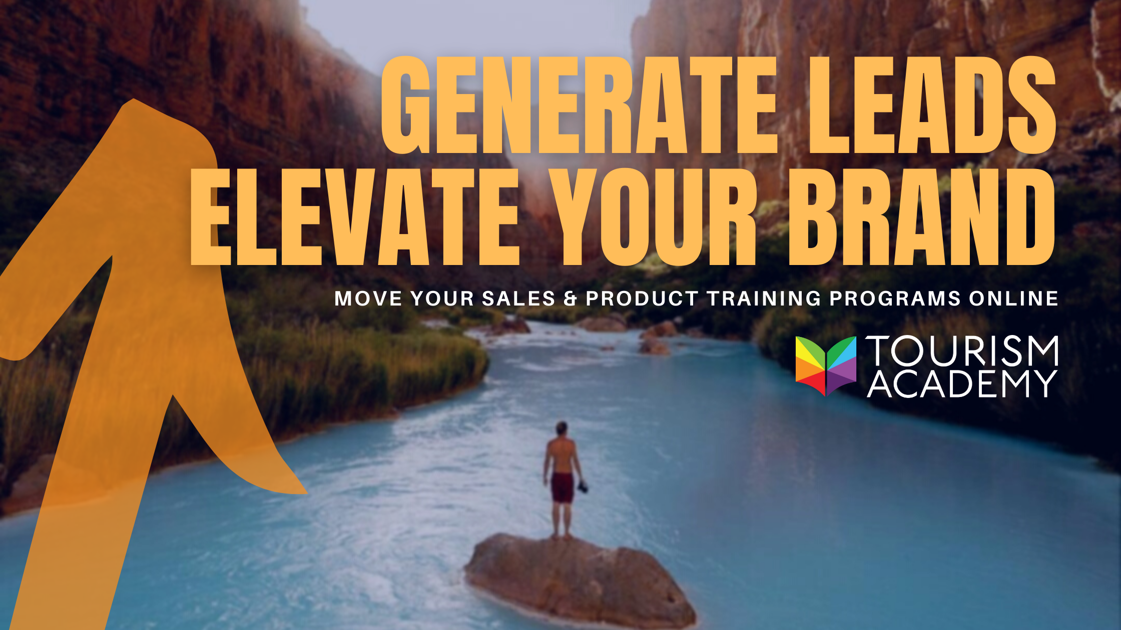 online product training & destination sales opportunities